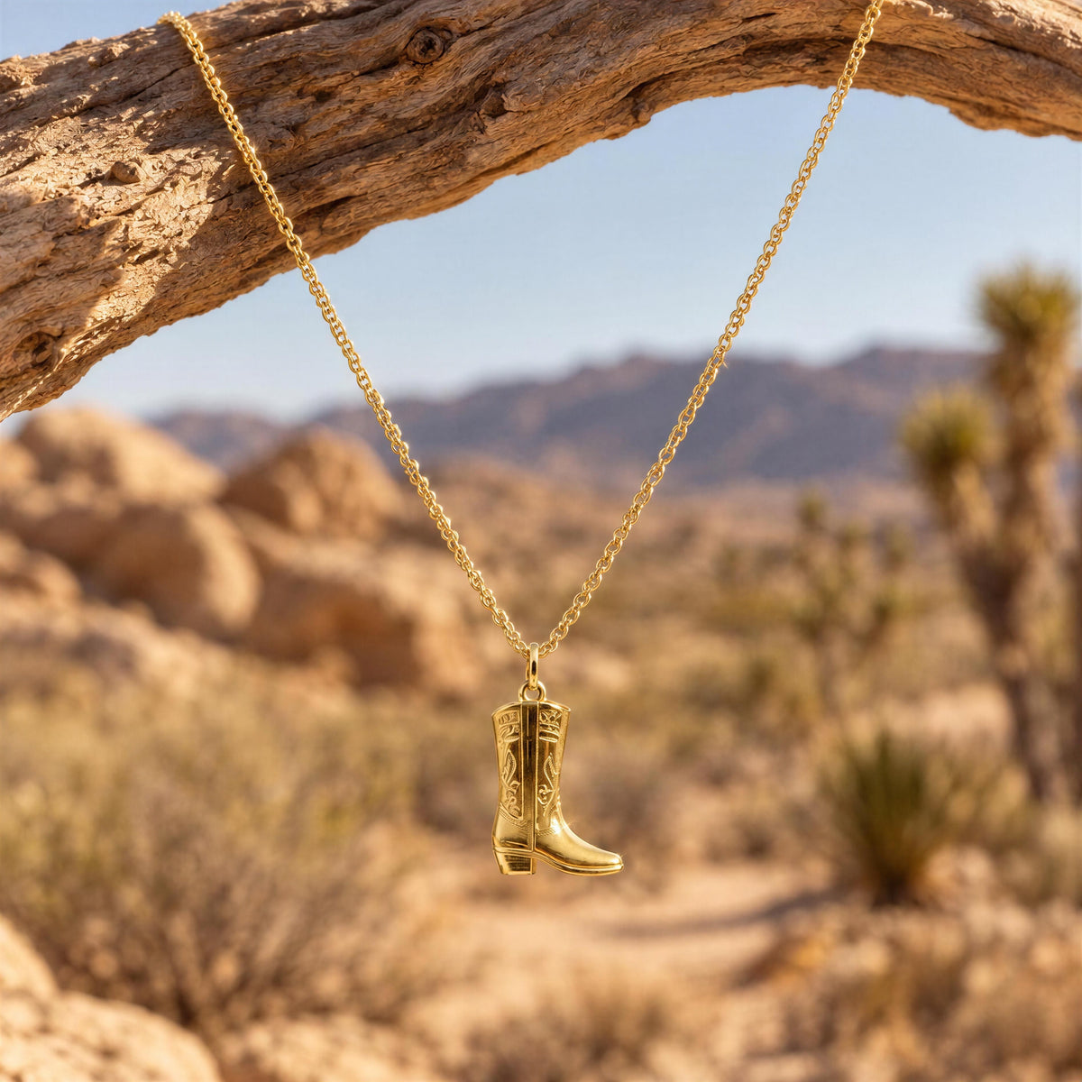 The Rodeo Necklace from Chica Chica Jewelry at desert scenery 
.